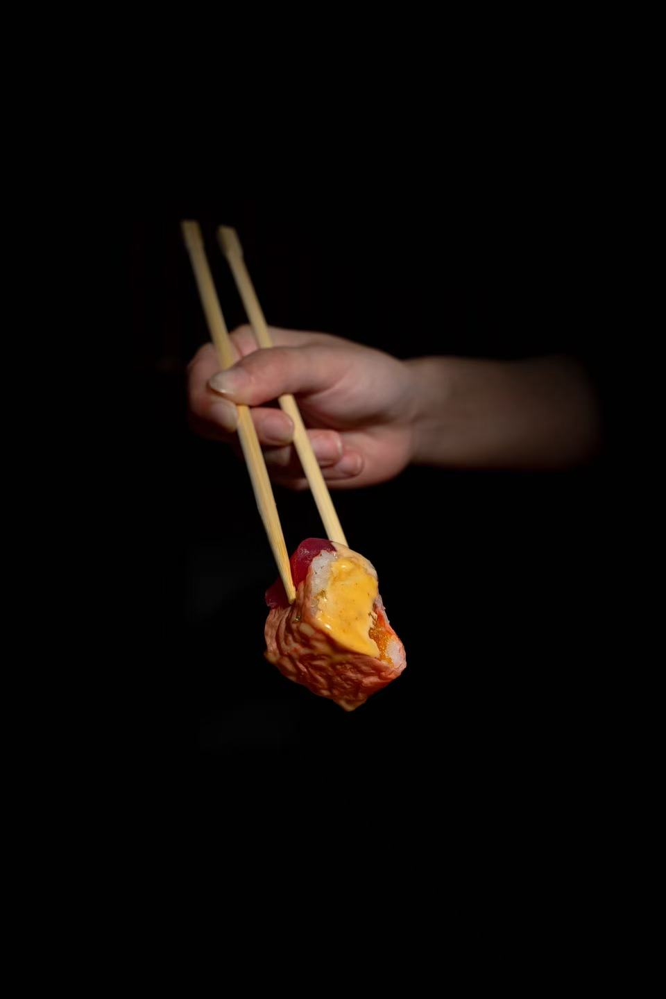 Koishi House sushi piece